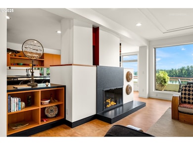 Fireplace Gas