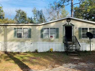 10256 Rabbit Run Rd, Baconton, GA 31716 - photo 3