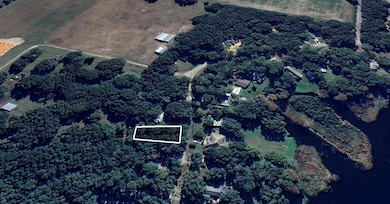 6462 W Riverbend Rd, Dunnellon, FL 34433 - photo 3