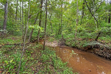 3.06 Acres S Carolina 11, Fair Play, SC 29643 - photo 5