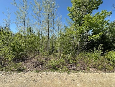 Lot 5 Mt Jefferson Heights, Lee, ME 04455 - photo 3