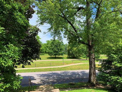 Front Yard View of Park