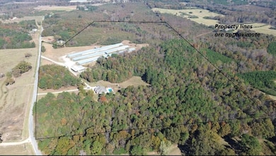 3050, Hackleburg, AL 35564 - photo 3