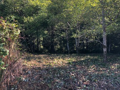 Alder Lot