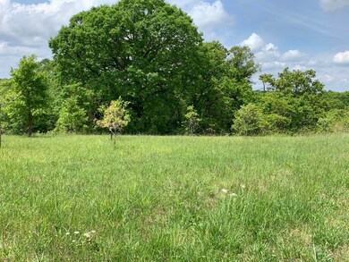 Lot 35a Hidden Springs, Reeds Spring, MO 65737 - photo 5