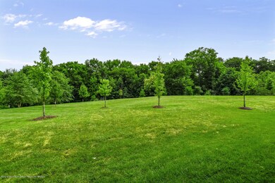 view from home