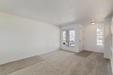 Fresh Carpet