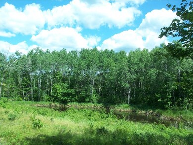 Lot 3 Ashtons Way, Webster, WI 54893 - photo 2