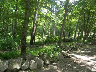 00 Bailey Rd unit 66B, Chichester, NH 03258 - photo 6