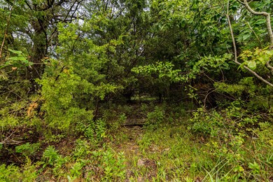 Lot 13 N Wilderness Trail, Kimberling City, MO 65686 - photo 7