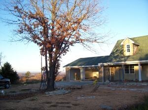 Front and View