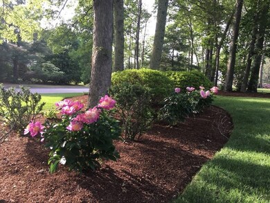 17 Magnolia Rd, Sharon, MA 02067 - photo 4