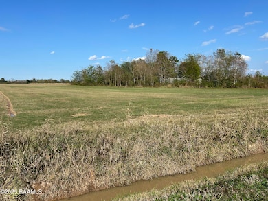 13640 Arabie Rd, Rayne, LA 70578 - photo 2