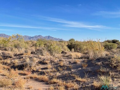 XXXX Pecos Rd SW, Deming, NM 88030 - photo 3