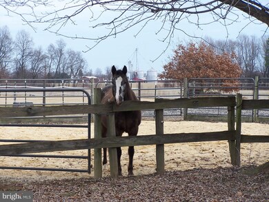 8373 Broad Neck Rd, Chestertown, MD 21620 - photo 6