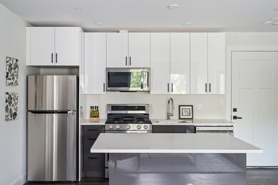 317 Belgrade Ave unit 207, Roslindale, MA 02131 - photo 5