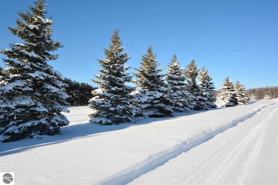 8399 Boca Vista Trail unit 9, Traverse City, MI 49684 - photo 5