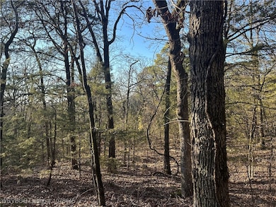 28734 Skyridge Ln, Heavener, OK 74937 - photo 4