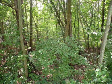 0 Tammy Trail unit 201924298, Coxsackie, NY 12051 - photo 4