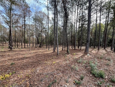 13980A Celeste Rd, Chunchula, AL 36521 - photo 2