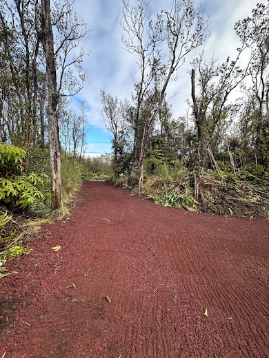 11-2889 Kaleponi Rd, Volcano, HI 96785 - photo 3