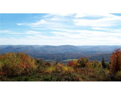 0 Flagg Mountain Dr unit 71254941, Conway, MA 01341 - photo 6