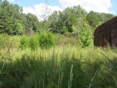 138 Ward Cemetary Rd, Linden, TN 37096 - photo 7