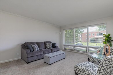 View from large windows - of the front yard.
