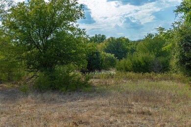 Tract 4 County Road 4460, Decatur, TX 76234 - photo 6