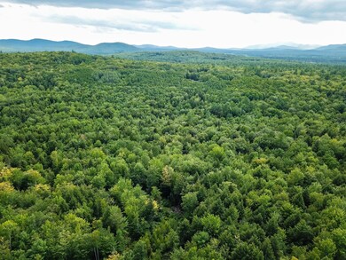 DJI_0041