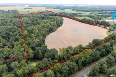 53 Private Rd, Desoto, IL 62924 - photo 2