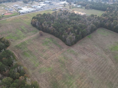 610 E Redcut Rd, Fouke, AR 71837 - photo 3