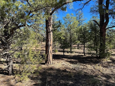 Davids Rock Rd, Ramah, NM 87321 - photo 3