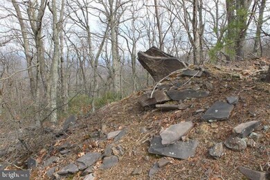 LOT 337 Nathaniel Mt Rd, Moorefield, WV 26836 - photo 2
