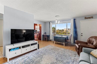 4460 Ironwood Cir unit 306A, Bradenton, FL 34209 - photo 6