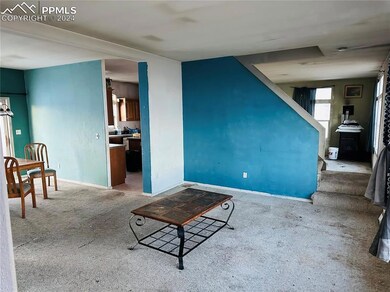 635 Badger Ln, Lake George, CO 80827 - photo 5