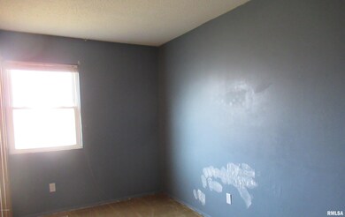 98 Alysha Ln, Harrisburg, IL 62946 - photo 7