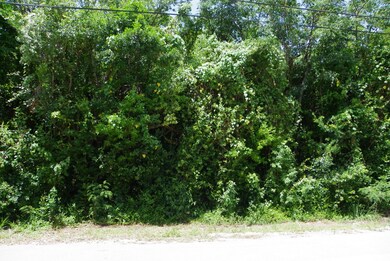 Wooded Lot