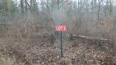 Lot 3 Ferry Rd, Grantsburg Township, WI 54840 - photo 2
