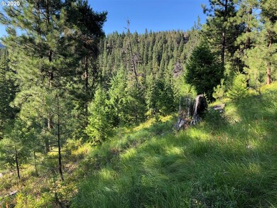 0 Grant Pine Hunt unit 20159261, Prairie City, OR 97869 - photo 5