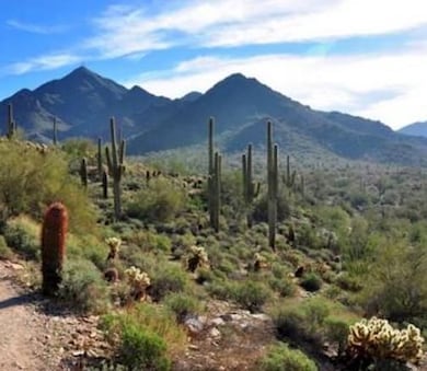 $400 Per Month Miningclaim Ownership, Queen Valley, AZ 85118 - photo 5