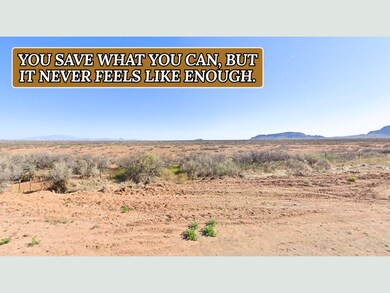 Sunshine Lun unit a New Mexico, Sunshine, NM 88030 - photo 4