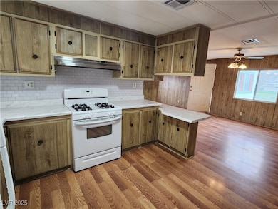 1111 Hardy Ln unit B - Back, Pahrump, NV 89048 - photo 6