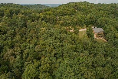 9 Fox Fire Knoll Dr, Kimberling City, MO 65686 - photo 4