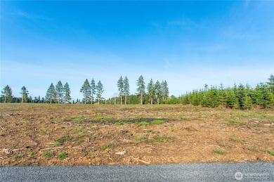 133 Beckett Ln, Chehalis, WA 98532 - photo 6