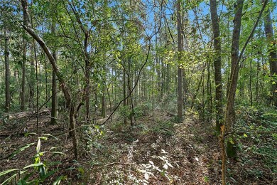 0 Old Covington Hwy unit 2491492, Hammond, LA 70403 - photo 4