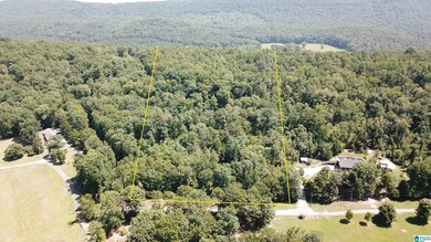 0 Taylor Rd unit 21396069, Remlap, AL 35133 - photo 3