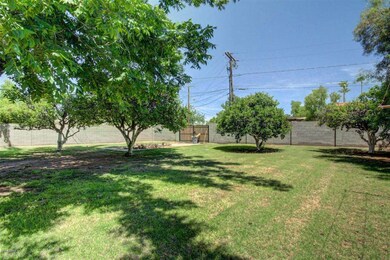 0031-43rd (31)