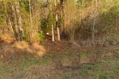 Lot 49 Eagle Point, Lincolnton, GA 30817 - photo 6