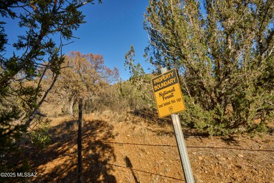 TBD Paradise Rd unit 10, Portal, AZ 85632 - photo 5